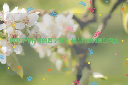 简单不带符号的四字网名 有点伤感的孤独网名