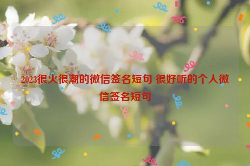 2023很火很潮的微信签名短句 很好听的个人微信签名短句