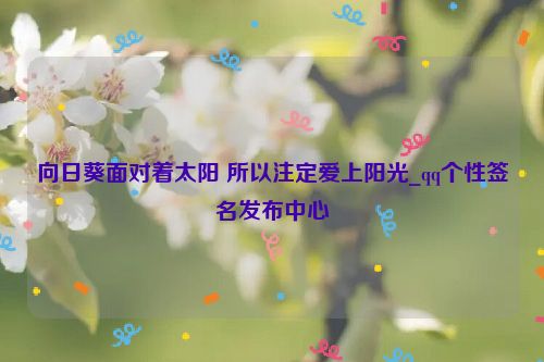 向日葵面对着太阳 所以注定爱上阳光_qq个性签名发布中心