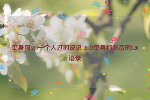 单身狗520一个人过的说说 2023单身狗必备的520语录