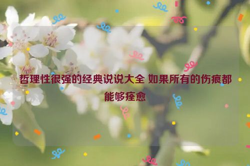 哲理性很强的经典说说大全 如果所有的伤痕都能够痊愈