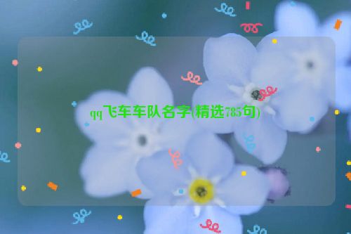 qq飞车车队名字(精选785句)