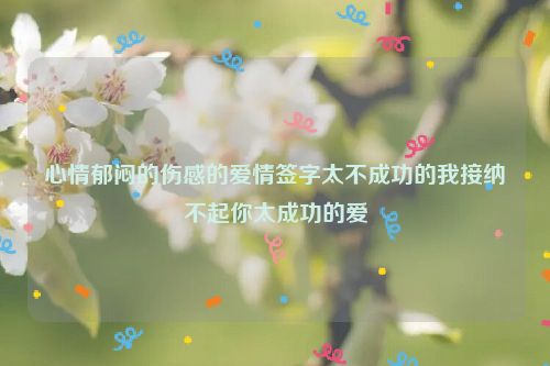 心情郁闷的伤感的爱情签字太不成功的我接纳不起你太成功的爱