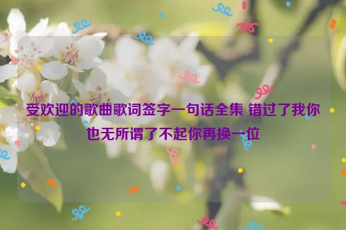 受欢迎的歌曲歌词签字一句话全集 错过了我你也无所谓了不起你再换一位