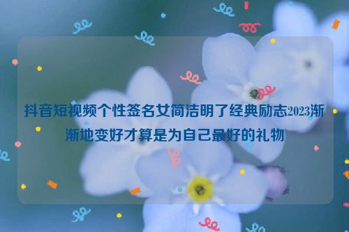 抖音短视频个性签名女简洁明了经典励志2023渐渐地变好才算是为自己最好的礼物