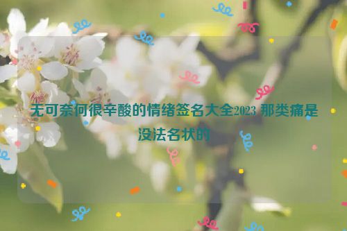 无可奈何很辛酸的情绪签名大全2023 那类痛是没法名状的