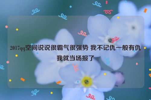 2017qq空间说说很霸气很强势 我不记仇一般有仇我就当场报了