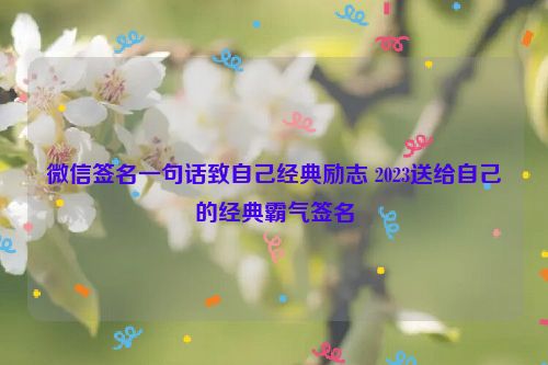 微信签名一句话致自己经典励志 2023送给自己的经典霸气签名