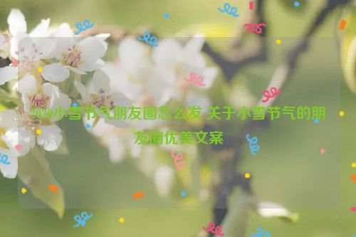 2020小雪节气朋友圈怎么发 关于小雪节气的朋友圈优美文案