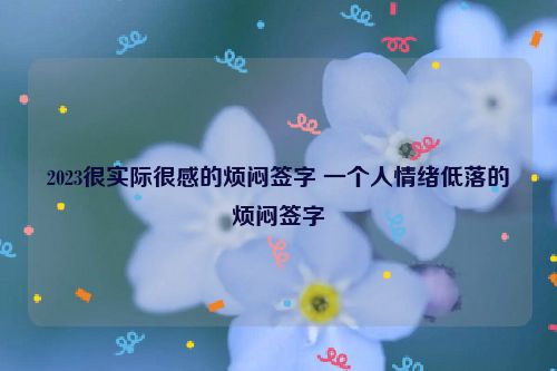 2023很实际很感的烦闷签字 一个人情绪低落的烦闷签字