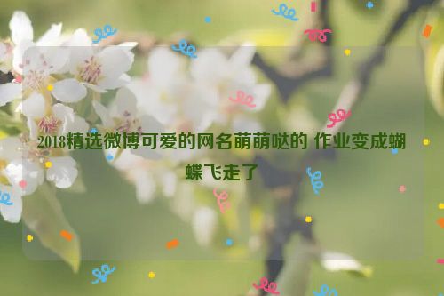 2018精选微博可爱的网名萌萌哒的 作业变成蝴蝶飞走了