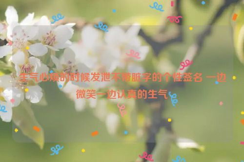 生气心烦的时候发泄不带脏字的个性签名 一边微笑一边认真的生气