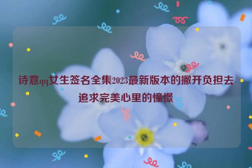 诗意qq女生签名全集2023最新版本的撇开负担去追求完美心里的憧憬