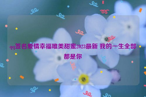 qq签名爱情幸福唯美甜蜜2023最新 我的一生全部都是你