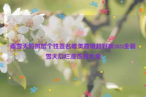 雨雪天的微信个性签名唯美意境超好听2023全新雪天后烂漫签名大全