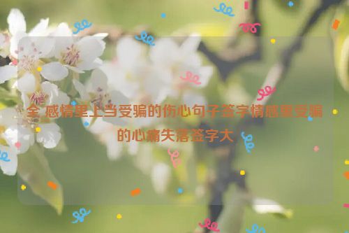 全 感情里上当受骗的伤心句子签字情感里受骗的心痛失落签字大