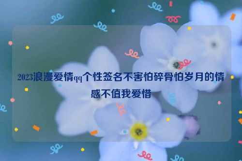 2023浪漫爱情qq个性签名不害怕碎骨怕岁月的情感不值我爱惜