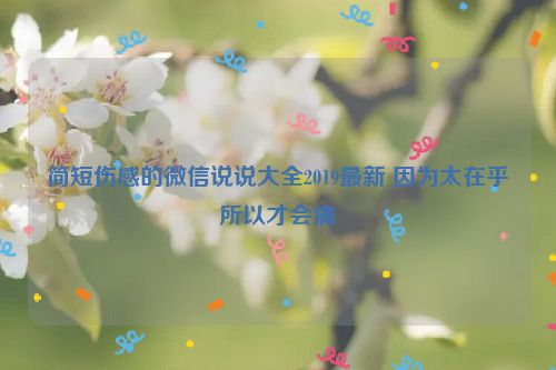 简短伤感的微信说说大全2019最新 因为太在乎所以才会痛