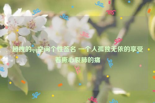 超拽的qq空间个性签名 一个人孤独无依的享受着撕心裂肺的痛