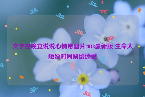 文字控晚安说说心情带图片2018最新版 生命太短没时间留给遗憾