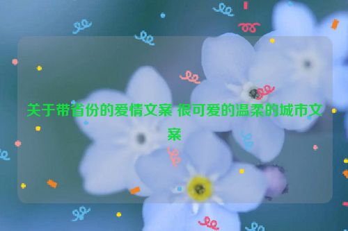 关于带省份的爱情文案 很可爱的温柔的城市文案