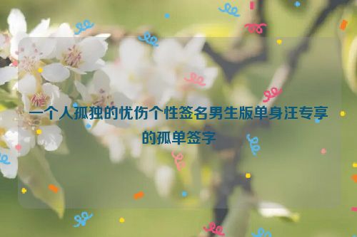 一个人孤独的忧伤个性签名男生版单身汪专享的孤单签字