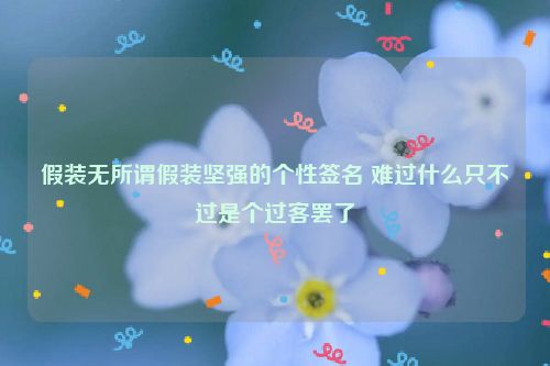 假装无所谓假装坚强的个性签名 难过什么只不过是个过客罢了