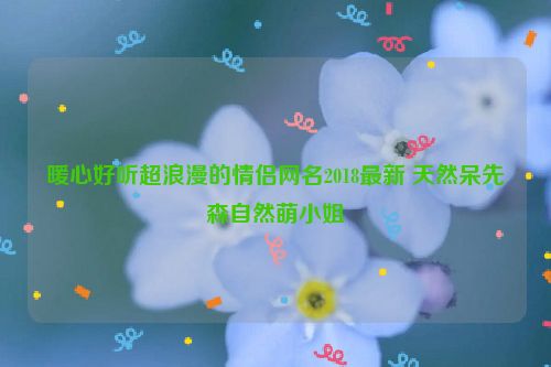 暖心好听超浪漫的情侣网名2018最新 天然呆先森自然萌小姐