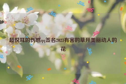 超悦耳的伤感qq签名2023有害的草开美丽动人的花