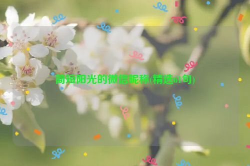 简短阳光的微信昵称(精选61句)