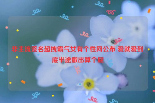 非主流签名超拽霸气女有个性网公布 爱就爱到底半途撤出算个屁