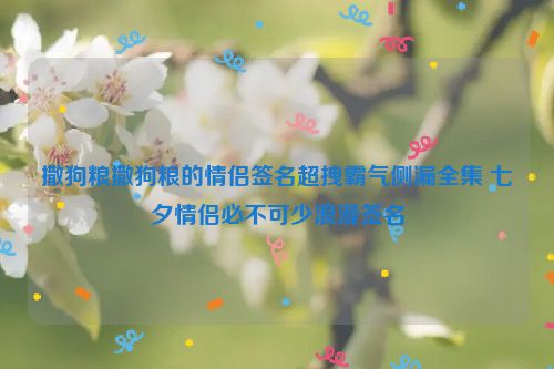 撒狗粮撒狗粮的情侣签名超拽霸气侧漏全集 七夕情侣必不可少浪漫签名