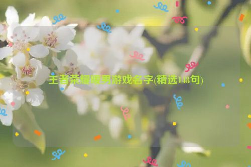 王者荣耀暖男游戏名字(精选148句)