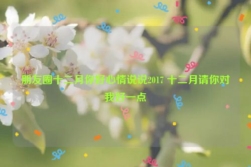 朋友圈十二月你好心情说说2017 十二月请你对我好一点