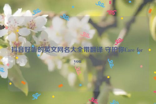 抖音好听的英文网名大全带翻译 守护你Care for you