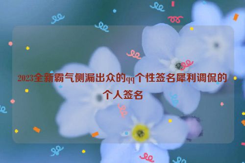 2023全新霸气侧漏出众的qq个性签名犀利调侃的个人签名