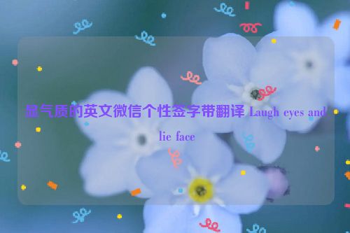 显气质的英文微信个性签字带翻译 Laugh eyes and lie face