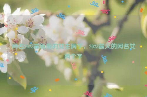 网名2023最新版的女生俩字，2023最火的网名女两个字