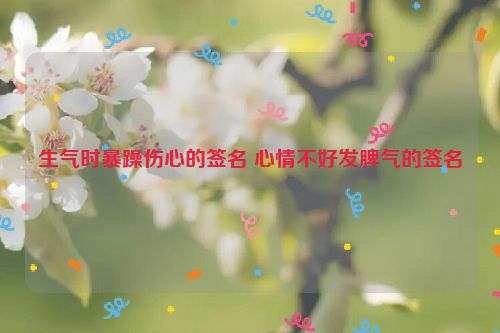 生气时暴躁伤心的签名 心情不好发脾气的签名