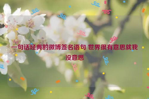 一句话经典的微博签名语句 世界很有意思就我没意思