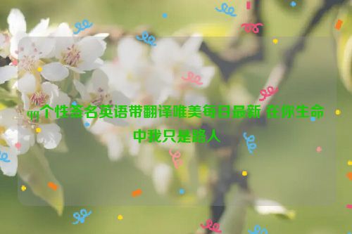 qq个性签名英语带翻译唯美每日最新 在你生命中我只是路人