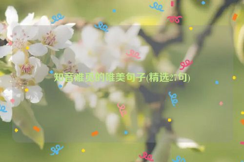 知音难觅的唯美句子(精选27句)