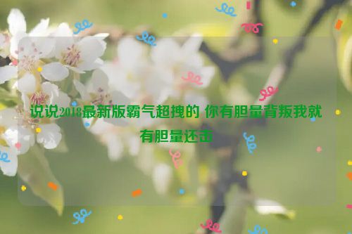 说说2018最新版霸气超拽的 你有胆量背叛我就有胆量还击