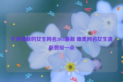 干净清新的女生网名2018最新 唯美网名女生清新剪短一点