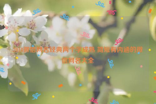 2018微信网名经典两个字成熟 简短有内涵的微信网名大全