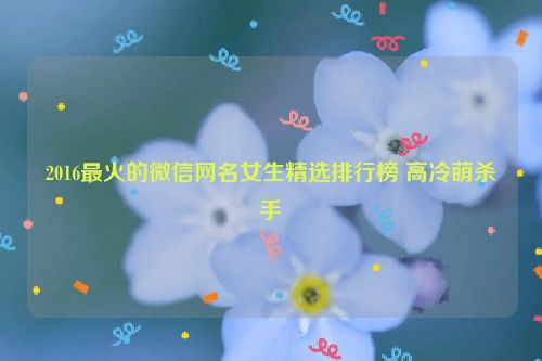 2016最火的微信网名女生精选排行榜 高冷萌杀手