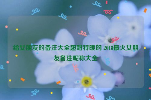 给女朋友的备注大全超甜特暖的 2018最火女朋友备注昵称大全