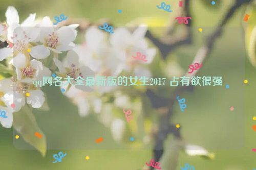 qq网名大全最新版的女生2017 占有欲很强