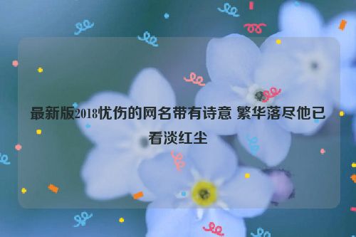 最新版2018忧伤的网名带有诗意 繁华落尽他已看淡红尘