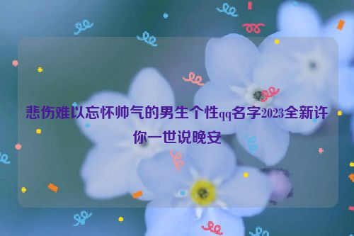 悲伤难以忘怀帅气的男生个性qq名字2023全新许你一世说晚安